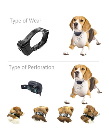 Correa de Perro Bungee YLSF Ajustable 1.9 cm Impermeable