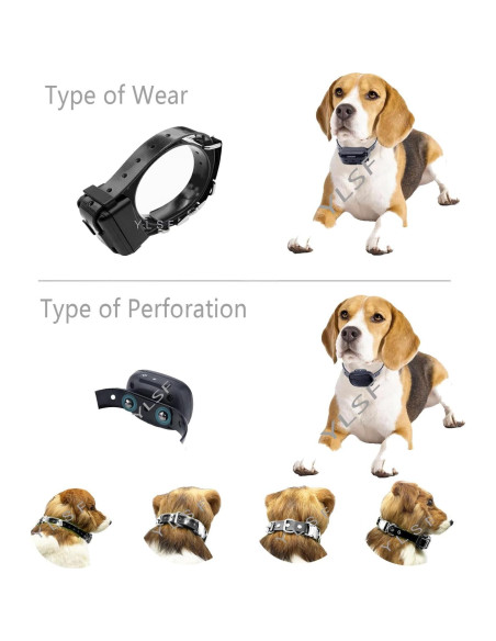 Correa de Perro Bungee YLSF Ajustable 1.9 cm Impermeable