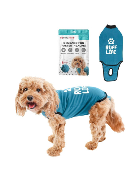 Traje de Recuperación BellyGuard Mini Azul para Perros Traje de Recuperación BellyGuard Mini Azul para Perros