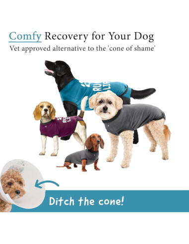 Traje de Recuperación BellyGuard Mini Azul para Perros