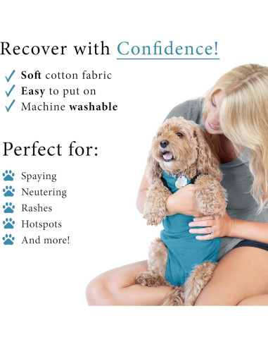 Traje de Recuperación BellyGuard Mini Azul para Perros