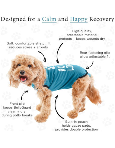 Traje de Recuperación BellyGuard Mini Azul para Perros