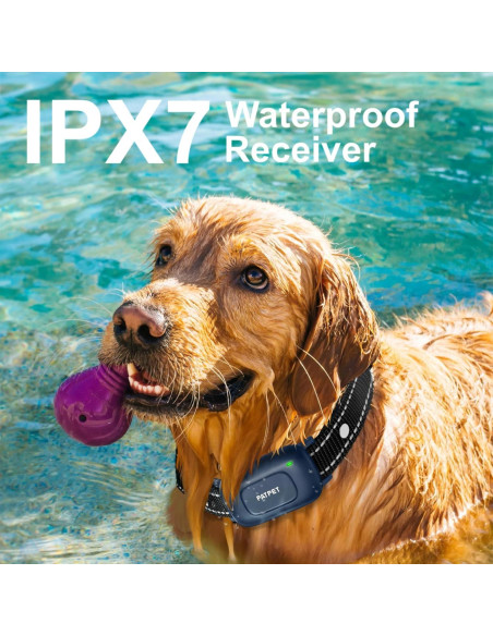 Collar de Entrenamiento PATPET para Perros 4.5-45 kg Azul