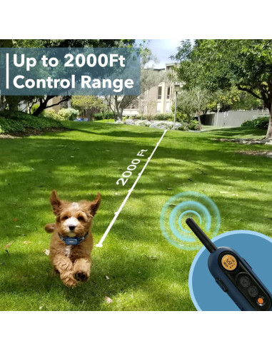 Collar de Entrenamiento PATPET para Perros 4.5-45 kg Azul