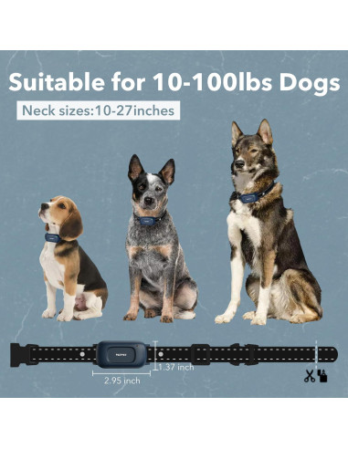 Collar de Entrenamiento PATPET para Perros 4.5-45 kg Azul