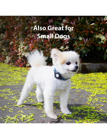 Soporte para Collar de Gato AirTag Elevation Lab - Paquete de 2