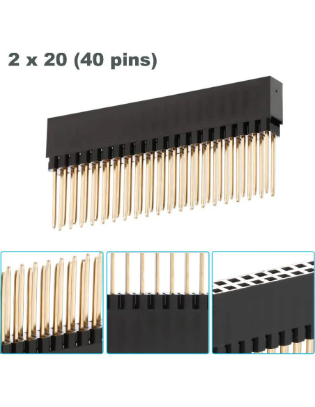 10 Conectores de Encabezado Femenino 2x20 40 Pines 2.54mm DKARDU