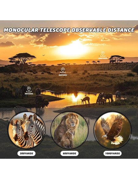 Telescopio Monocular 8x25 Soylroip Compacto Impermeable