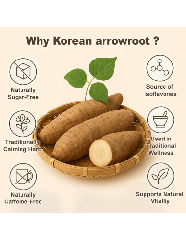 Bebida Natural de Arrurruz TerraPick 60ml x 30 Bolsitas