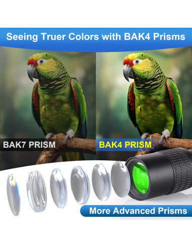 Monocular Telescopio Belmeri 10-300x40 BAK4 para Observación