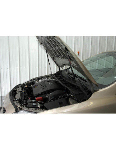 Sistema QuickLIFT Elite Redline Tuning para Toyota Corolla 2009-2013