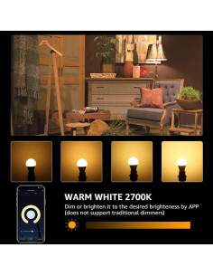 Bombilla LED Inteligente Lighting EVER E26 9W Regulable WiFi 2.4GHz 2