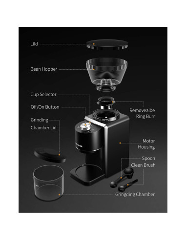 Molinillo de Café Eléctrico SHARDOR 35 Ajustes 2-12 Tazas