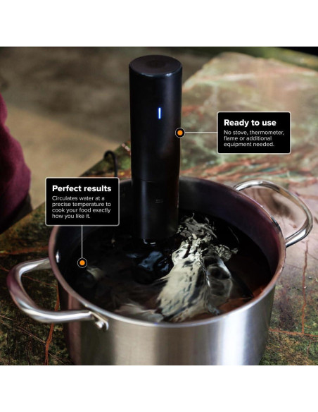 Cocedor Sous Vide Anova Culinary Mini 850W Negro 2024