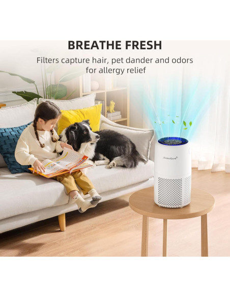 Purificador de Aire AromaRoom AP103-A HEPA H13 para Casa