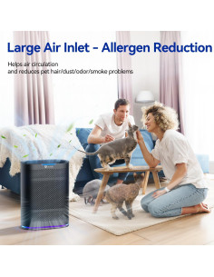 Purificador de Aire Aucleia KQ-36 para Habitaciones Grandes 2