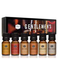Conjunto de Aceites Aromáticos P&J Trading para Caballeros 10 ml x 6