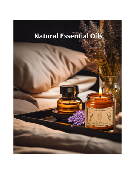 Vela Aromática Pootes de Cera de Soja 450g Lavanda 100h