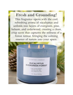 Vela Aromática de Eucalipto Bosque Perpetuo 448 g 3 Mechas 2