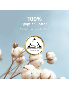 Conjunto de Sábanas Queen California Design Den 100% Algodón Egipcio 2