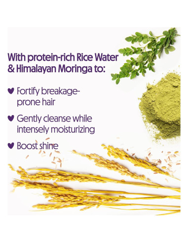 Champú y Acondicionador Not Your Mother's 450 ml - Sin Sulfatos