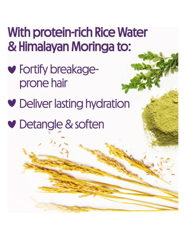 Champú y Acondicionador Not Your Mother's 450 ml - Sin Sulfatos