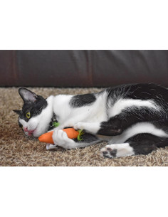 Juguete para Gato OurPets Zanahoria Relleno de Hierba Gatera 2