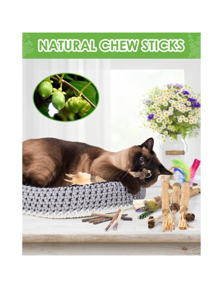 Palos de Masticar Silvervine TINDTOP para Gatos - Paquete de 12