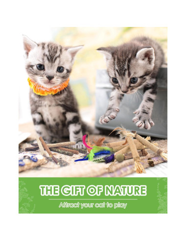 Palos de Masticar Silvervine TINDTOP para Gatos - Paquete de 12