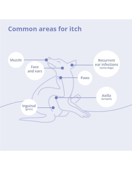 Champú Veterinario Dechra 473 ml para Perros, Gatos y Caballos