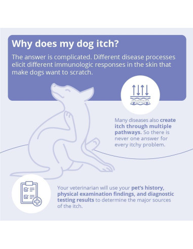 Champú Veterinario Dechra 473 ml para Perros, Gatos y Caballos