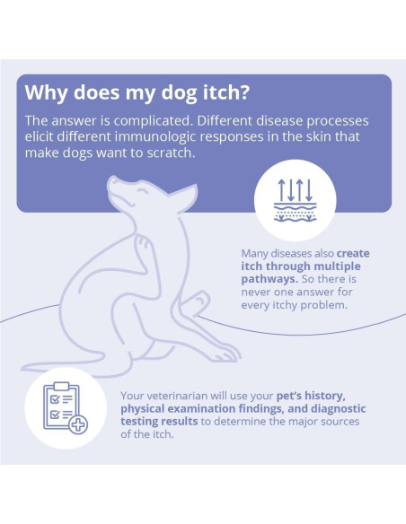 Champú Veterinario Dechra 473 ml para Perros, Gatos y Caballos