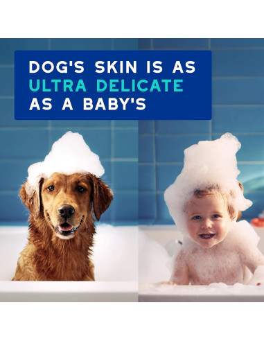 Champú DOUXO Skin & Coat SPA para Perros 473 ml - Control de Olores