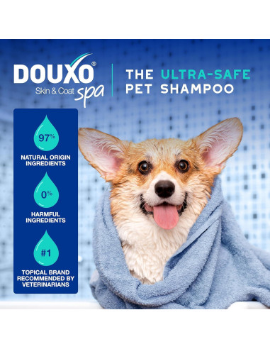 Champú DOUXO Skin & Coat SPA para Perros 473 ml - Control de Olores