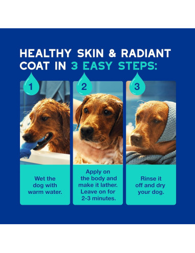 Champú DOUXO Skin & Coat SPA para Perros 473 ml - Control de Olores