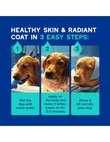 Champú DOUXO Skin & Coat SPA para Perros 473 ml - Control de Olores