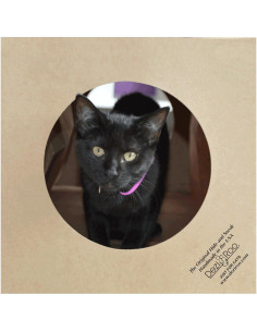 Túnel de Papel Colapsable Dezi & Roo para Gatos - 83.82 cm 2