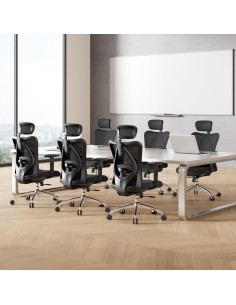 Silla de Oficina Ergonómica SIHOO M18 Negra Ajustable Soporte Lumbar 2