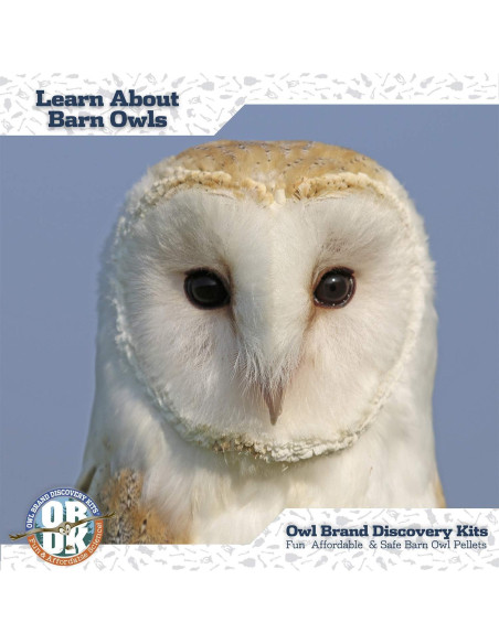 Pellets de Búho OBDK para Disección - 1 Paquete Pequeño Pellets de Búho OBDK para Disección - 1 Paquete Pequeño