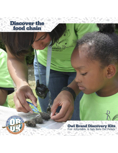 Pellets de Búho OBDK para Disección - 1 Paquete Pequeño