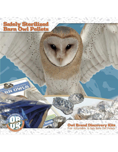 Pellets de Búho OBDK para Disección - 1 Paquete Pequeño