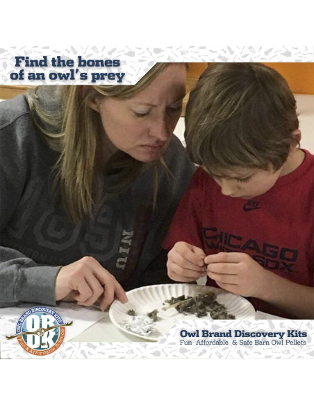 Pellets de Búho OBDK para Disección - 1 Paquete Pequeño Pellets de Búho OBDK para Disección - 1 Paquete Pequeño
