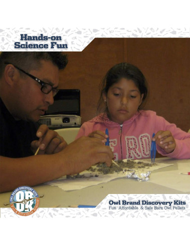 Pellets de Búho OBDK para Disección - 1 Paquete Pequeño