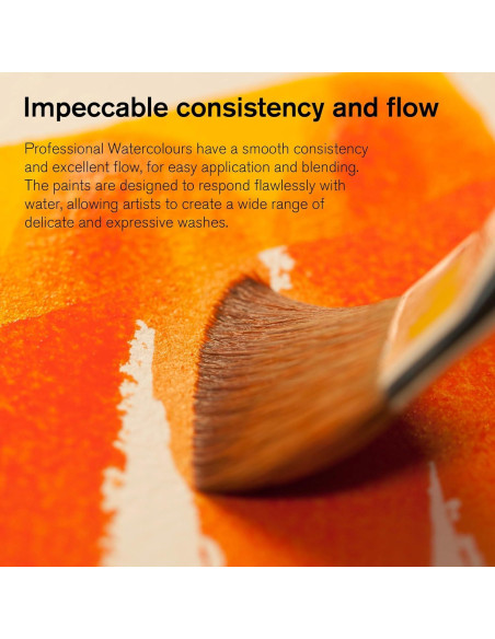 Acuarela Profesional Winsor & Newton 12 Tubos 5ml Multicolor