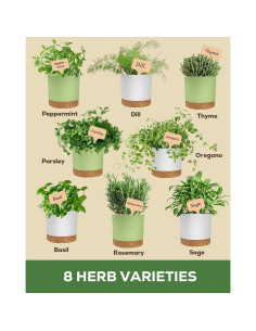 Kit de Jardín Interior PLANTMEW 8 Hierbas Orgánicas - Macetas BPA 2