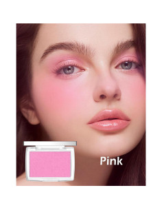 Paleta de Rubor en Polvo Mate Lestpola Rosa 4.5g 2