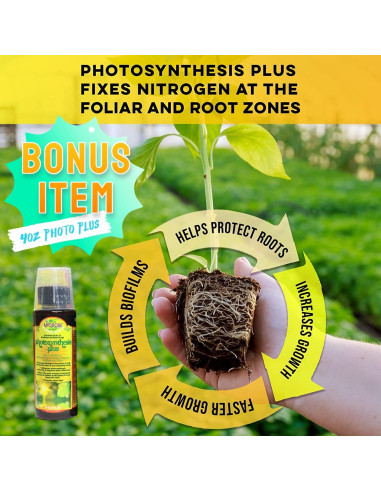 Kit de Control de pH Microbe Life Hydroponics 0.47 L