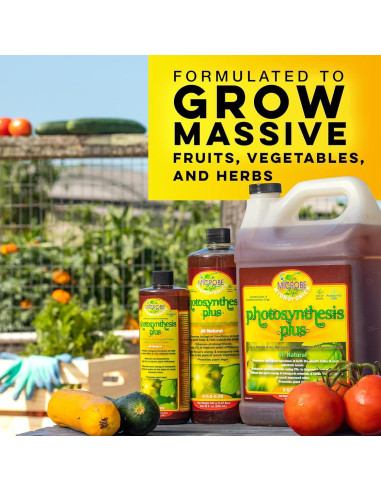 Kit de Control de pH Microbe Life Hydroponics 0.47 L