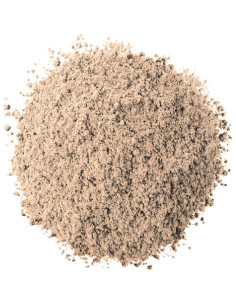 Sombra de Ojos Impermeable L'Oreal Paris Infallible 24HR Latte Helado 3.4g 2