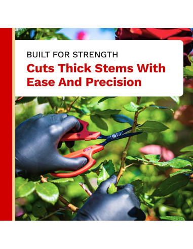 Tijera de Bonsái Angulada The Harvest 15.95 cm Acero Inoxidable